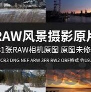 日韩av一道本-日韩AV一道本，文化、市场与影响